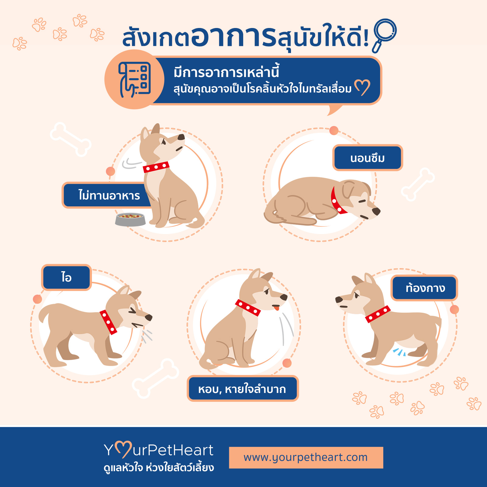 สุนัข ลิ้น ซีด